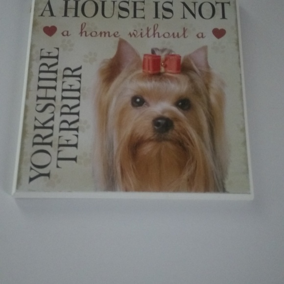 Puppy Pictures - Picture 3 of 8